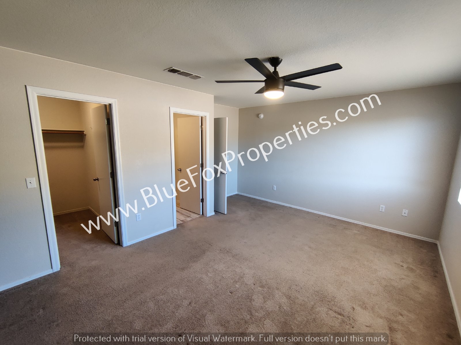 4979 S Tirza Ct property image