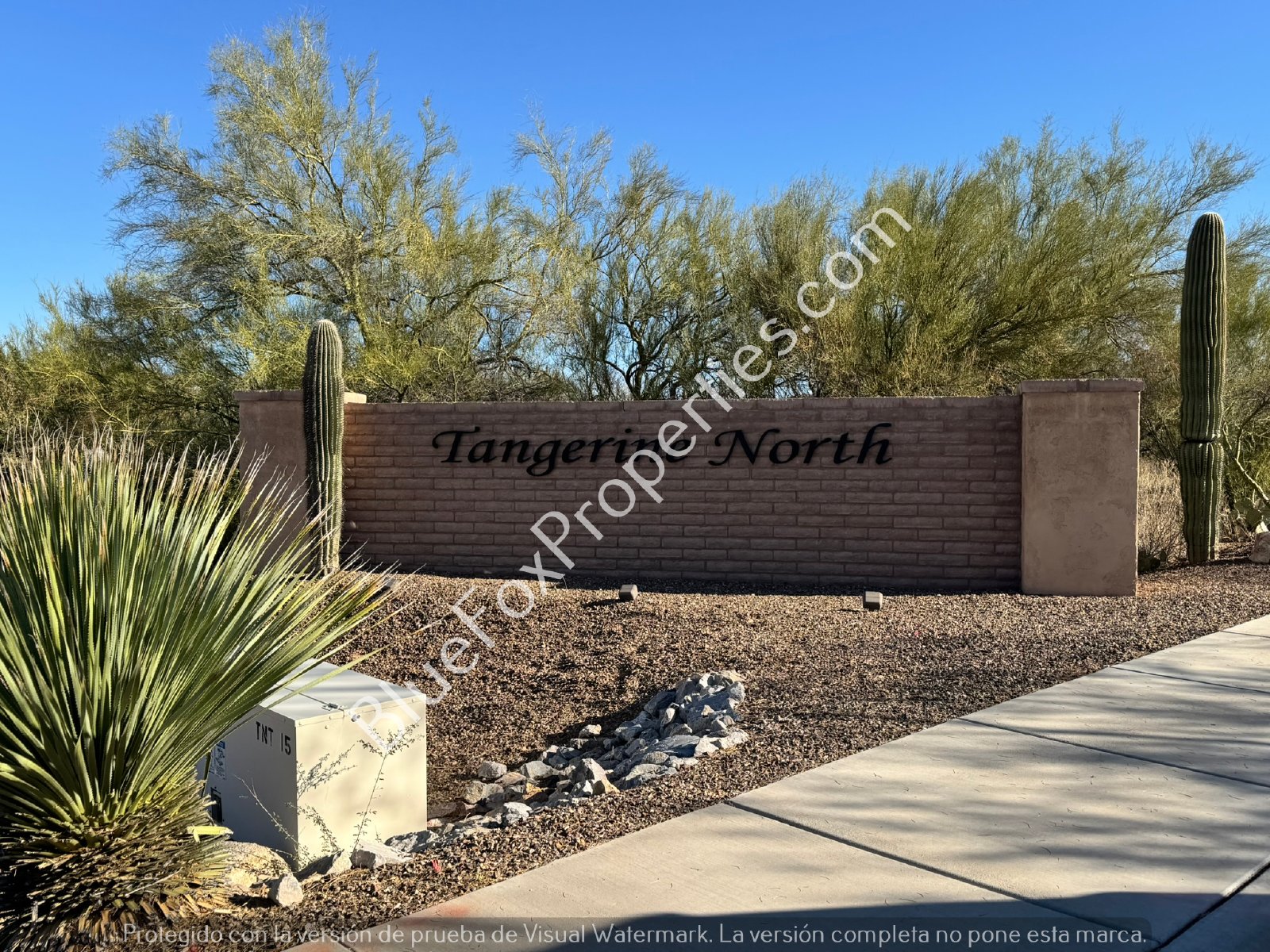 12573 N Summer Wind Drive property image